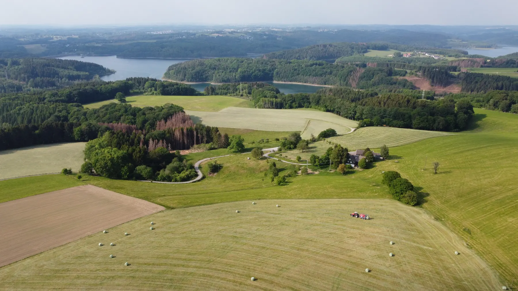 Dhünntalsperre im Bergischen Land mit Wiesen und Wald, Luftaufnahme