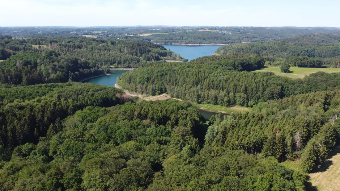 Dhünntalsperre mit Wald und Weiden, Luftaufnahme