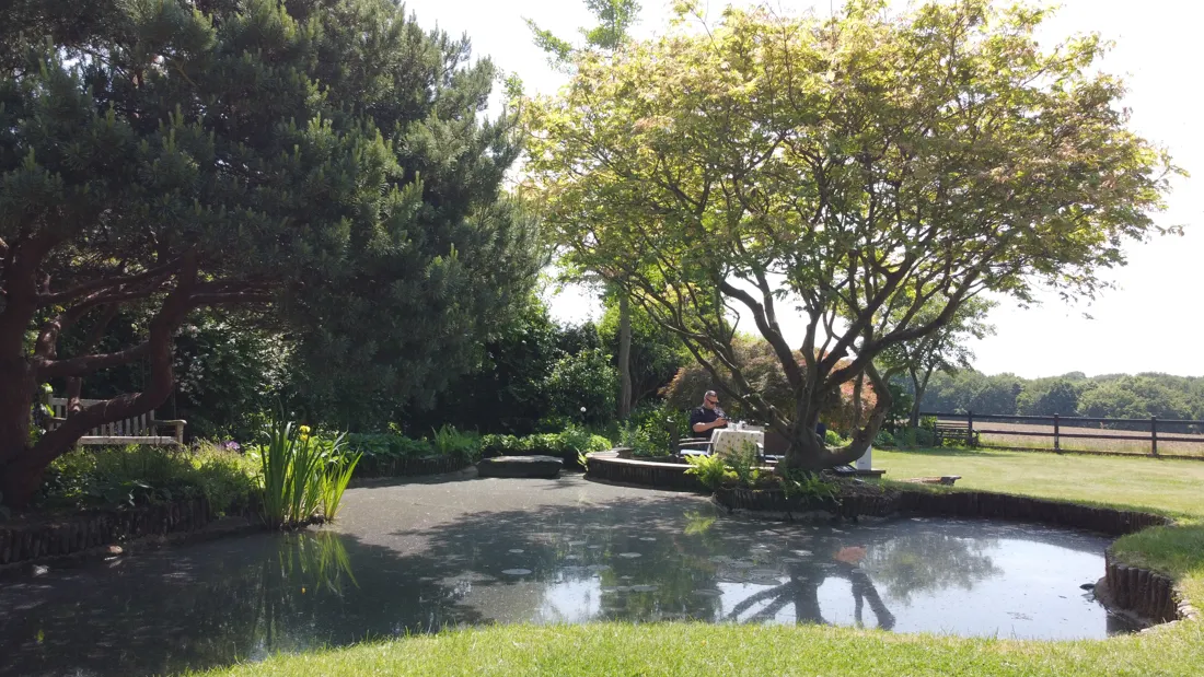 Garten mit Teich an der Küchenberger Straße in Odenthal-Voiswinkel, Luftaufnahme